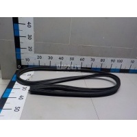 Уплотнитель двери Nissan Terrano III (D10) 2014 7680100Q0D