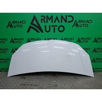 капот ГАЗ ГАЗель Next 1 2013-нв A21R238402012, 7