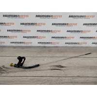Щуп масляный Peugeot 207 2008 1174A4, 1174A4, 9830779480