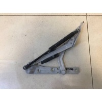 Петля крышки багажника Ford Ford Focus 1 1998-2004 8S4Z5442701A