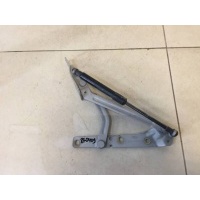 Петля крышки багажника Ford Ford Focus 1 1998-2004 8S4Z5442700A