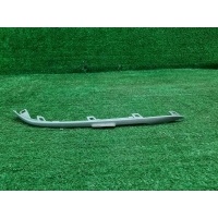Накладка переднего бампера Bmw 5er G30 (2017-2020) 51117385272
