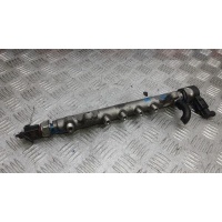 Топливная рампа дизельная VOLKSWAGEN PASSAT (2008-2011) 2009 03L089C, 03L130089