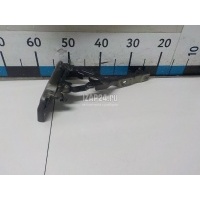 Петля капота левая Hyundai-Kia Sorento III Prime (2015 - 2020) 79110C5000