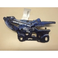 Петля капота правая BMW 7-serie G11/G12 2015 41007427052