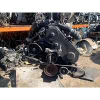 Двигатель Ford Focus 1 2001 1800 Дизель TDCI