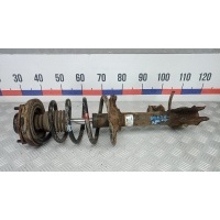 Стойка задняя левая NISSAN X-TRAIL (рест: 2004-2006) 2006 55303EQ025, 550208H762, 552658H500