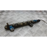 Топливная рампа дизельная RENAULT MASTER (2000-2006) 2006 0445214042