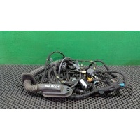 Проводка двери передней правой BMW 7 E65/E66 2003 6 913 127, 7 918 860, 6 913 125, 6 920 291