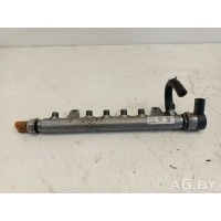 Топливная рампа Volkswagen Multivan T5 restailing 2013 03L130089,057130764H,03L906054