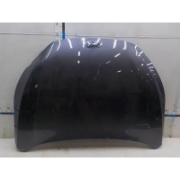 Капот JAC J7 I 2021- 8402010U7300E