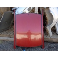 Крыша Ford Focus 2 2007 1341767