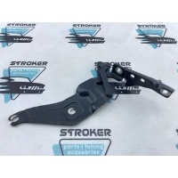 петля капота BMW X5 E70 2008 41007198617