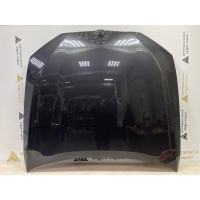 Капот BMW 5 G30 до Рестайлинг 2017-2019 41007440427