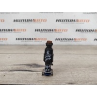 Форсунка бензин Ford Focus 2 2005 1149958, 1S7G9F593GA, LF0113250A, L30113250A, 1149958, FSJ213250, 30711782, 8694751