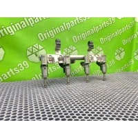 Топливная рампа Citroen C4 Picasso UD 2010 198544, 198544, 1984G4, 1984H7