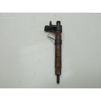 Форсунка топливная Lancia Phedra 2007 9659228880