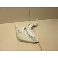 Петля капота правая Hyundai-Kia Carnival 2020 66920R0000