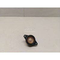 Динамик Geely Tugella 2020