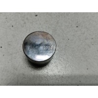 Толкатель клапана гидравлический Hyundai-Kia Getz (2002 - 2010) 2223137110