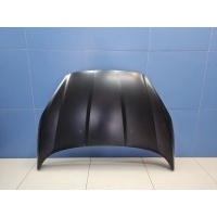 Капот Ford Fiesta Mk6 2008-2019 FD11401503000