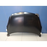 Капот Opel Corsa D 2006-2015 OP08101500000