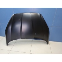 Капот Ford Fiesta Mk6 2008-2019 FD11401503000