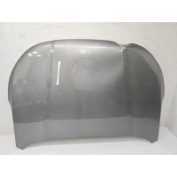 капот Exeed VX 1 2021- 509001143AADYJ
