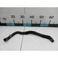 Патрубок отопителя Ford Focus II (2005 - 2008) 1487291