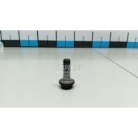 Болт суппорта Citroen-Peugeot C4 (2005 - 2011) 440547