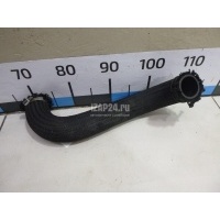 Патрубок интеркулера Hyundai-Kia Carnival (1999 - 2005) 0K55313347