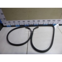 Уплотнитель стекла двери Hyundai-Kia Carnival (1999 - 2005) 0K55259605E