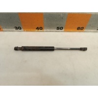 Амортизатор багажника Ford Focus 1, DFW, 15 2000 XS41F406A10AD