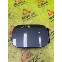 лючок бензобака MERCEDES CLK W209 2004 A2097500206, A2095840639, A0005843117
