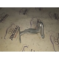 петля двери багажника BMW X5 E70 2007-2013 2007 41627170918