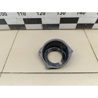 Ниша лючка бензобака VAZ LADA X-RAY 2016> 172400141R