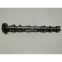 Распредвал выпускной VAG A8 [4E] (2002 - 2010) 059109009BL