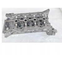 Renault trafic megane 1,6dci головка блока цилиндров 110422959r