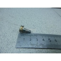 Болт Honda Accord VII (2003 - 2008) 957010601408