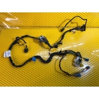 Проводка двери Mercedes-Benz S-Class W221 A2215403313, A2215401513