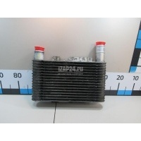 Интеркулер Hyundai-Kia Terracan (2001 - 2007) 28211H1302