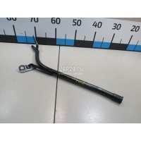 Трубка масляного щупа Hyundai-Kia Terracan (2001 - 2007) 46501H1011