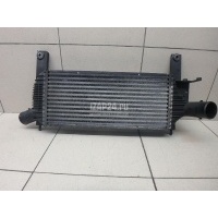 Интеркулер Nissan Pathfinder (R51) (2005 - 2014) 14461EB360