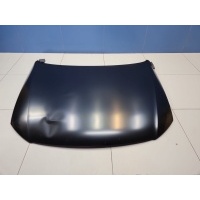 Капот Volkswagen Passat B6 2005-2010 VG20033A