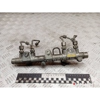 топливная рампа Peugeot 406 2002 0445214010,96325615