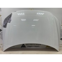 Капот Volkswagen Tiguan 2 AD1 Рестайлинг 2020-2022 5NA823031L
