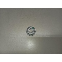 Гайка VAG Q7 [4L] (2005 - 2015) N90966402