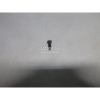 Болт Citroen-Peugeot 206 (1998 - 2012) 691376