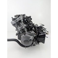 Honda cbf 600 pc38 04 - 07 двигатель гарантия загрузки
