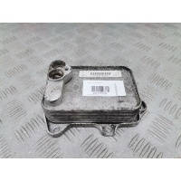 Теплообменник Skoda Octavia 1Z (2004-2013) 2006 03C117021E,03C117021J